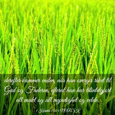 Picture 03 - 1 Korinter 15:24 NORSK - derefter kommer enden, når han overgir riket til - Bible Verse Picture