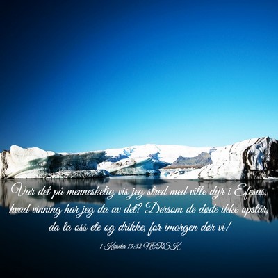Picture 03 - 1 Korinter 15:32 NORSK - Var det på menneskelig vis jeg stred med ville - Bible Verse Picture