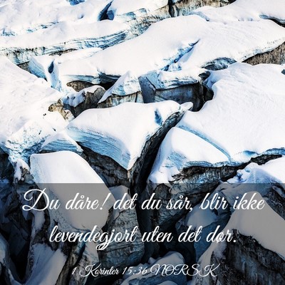 Picture 03 - 1 Korinter 15:36 NORSK - Du dåre! det du sår, blir ikke levendegjort - Bible Verse Picture