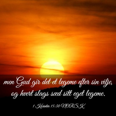 Picture 03 - 1 Korinter 15:38 NORSK - men Gud gir det et legeme efter sin vilje, og - Bible Verse Picture