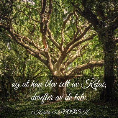 Picture 03 - 1 Korinter 15:6 NORSK - og at han blev sett av Kefas, derefter av de - Bible Verse Picture