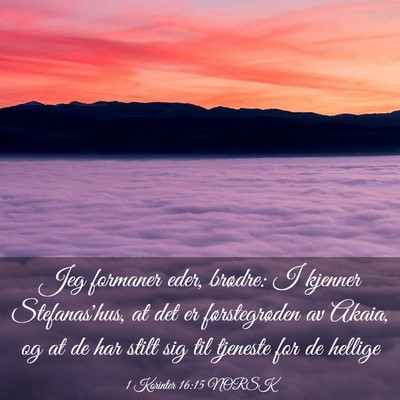 Picture 03 - 1 Korinter 16:15 NORSK - Jeg formaner eder, brødre: I kjenner - Bible Verse Picture