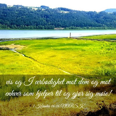 Picture 03 - 1 Korinter 16:16 NORSK - vis og I ærbødighet mot dem og mot enhver som - Bible Verse Picture