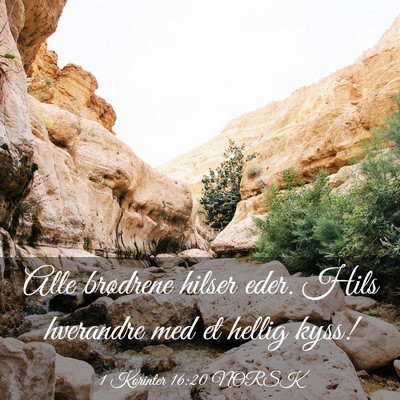 Picture 03 - 1 Korinter 16:20 NORSK - Alle brødrene hilser eder. Hils hverandre med et - Bible Verse Picture