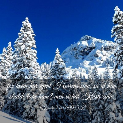 Picture 03 - 1 Korinter 2:16 NORSK - for hvem har kjent Herrens sinn, så at han - Bible Verse Picture