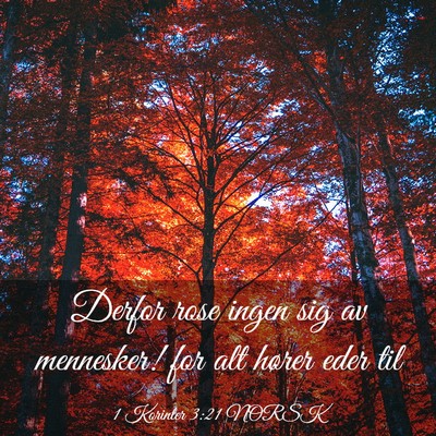 Picture 03 - 1 Korinter 3:21 NORSK - Derfor rose ingen sig av mennesker! for alt - Bible Verse Picture
