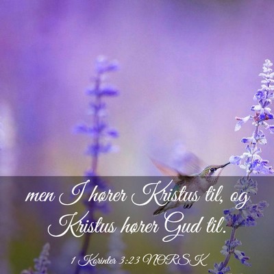 Picture 03 - 1 Korinter 3:23 NORSK - men I hører Kristus til, og Kristus hører Gud - Bible Verse Picture