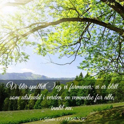 Picture 03 - 1 Korinter 4:13 NORSK - Vi blir spottet(-)og vi formaner; vi er blitt som - Bible Verse Picture
