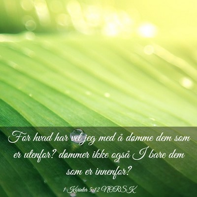 Picture 03 - 1 Korinter 5:12 NORSK - For hvad har vel jeg med å dømme dem som er - Bible Verse Picture
