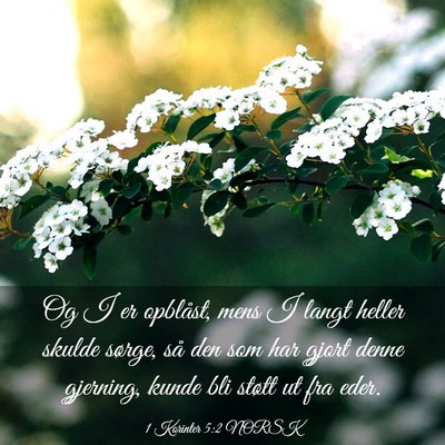 Picture 03 - 1 Korinter 5:2 NORSK - Og I er opblåst, mens I langt heller skulde - Bible Verse Picture