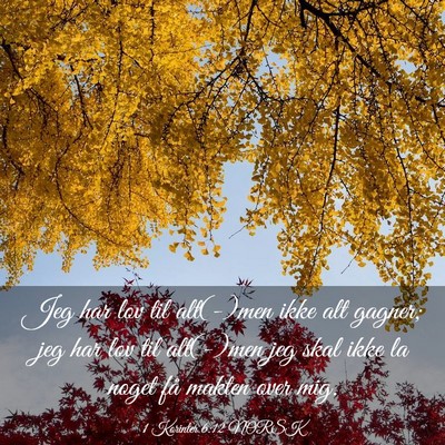 Picture 03 - 1 Korinter 6:12 NORSK - Jeg har lov til alt(-)men ikke alt gagner; jeg - Bible Verse Picture