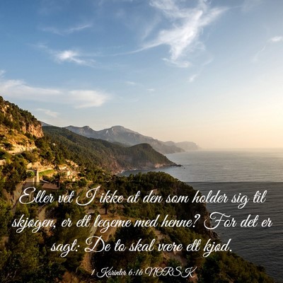Picture 03 - 1 Korinter 6:16 NORSK - Eller vet I ikke at den som holder sig til - Bible Verse Picture