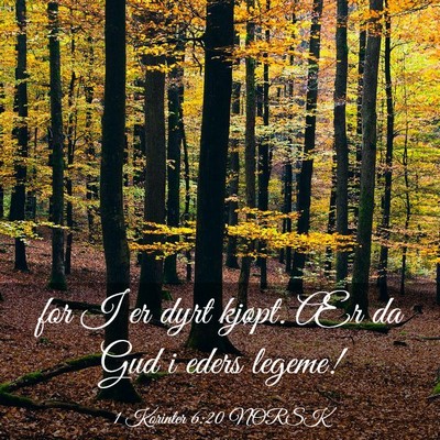 Picture 03 - 1 Korinter 6:20 NORSK - for I er dyrt kjøpt. Ær da Gud i eders - Bible Verse Picture