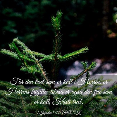 Picture 03 - 1 Korinter 7:22 NORSK - For den træl som er kalt i Herren, er Herrens - Bible Verse Picture