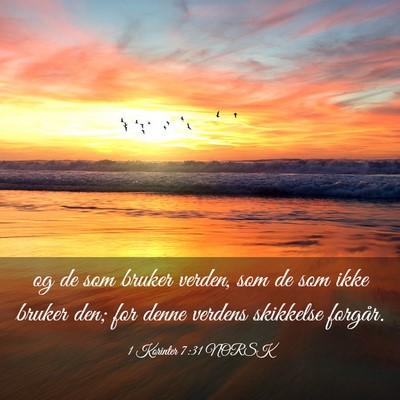 Picture 03 - 1 Korinter 7:31 NORSK - og de som bruker verden, som de som ikke bruker - Bible Verse Picture