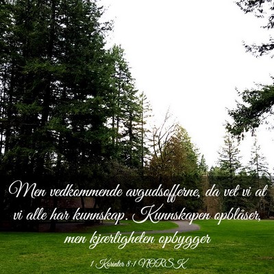 Picture 03 - 1 Korinter 8:1 NORSK - Men vedkommende avgudsofferne, da vet vi at vi - Bible Verse Picture