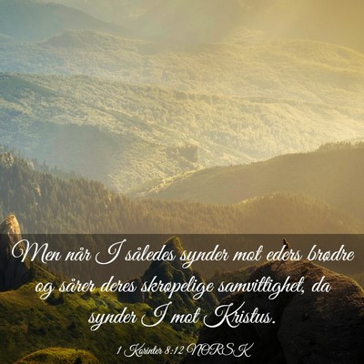 Picture 03 - 1 Korinter 8:12 NORSK - Men når I således synder mot eders brødre og - Bible Verse Picture
