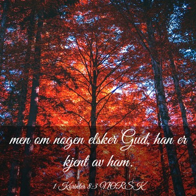 Picture 03 - 1 Korinter 8:3 NORSK - men om nogen elsker Gud, han er kjent av - Bible Verse Picture