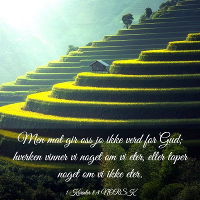 Picture 03 - 1 Korinter 8:8 NORSK - Men mat gir oss jo ikke verd for Gud; hverken - Bible Verse Picture