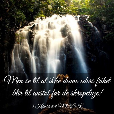 Picture 03 - 1 Korinter 8:9 NORSK - Men se til at ikke denne eders frihet blir til - Bible Verse Picture