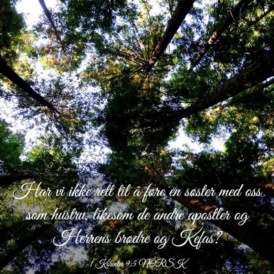 Picture 03 - 1 Korinter 9:5 NORSK - Har vi ikke rett til å føre en søster med oss - Bible Verse Picture