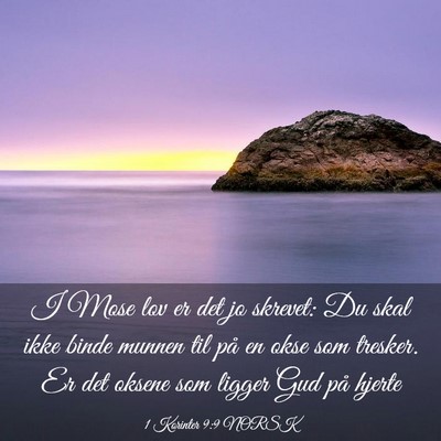 Picture 03 - 1 Korinter 9:9 NORSK - I Mose lov er det jo skrevet: Du skal ikke binde - Bible Verse Picture