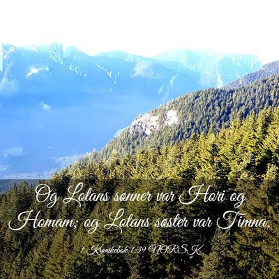 Picture 03 - 1 Krønikebok 1:39 NORSK - Og Lotans sønner var Hori og Homam; og Lotans - Bible Verse Picture