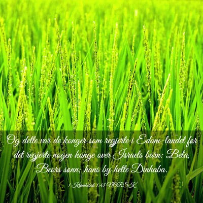 Picture 03 - 1 Krønikebok 1:43 NORSK - Og dette var de konger som regjerte i Edom-landet - Bible Verse Picture