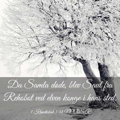Picture 03 - 1 Krønikebok 1:48 NORSK - Da Samla døde, blev Saul fra Rehobot ved elven - Bible Verse Picture