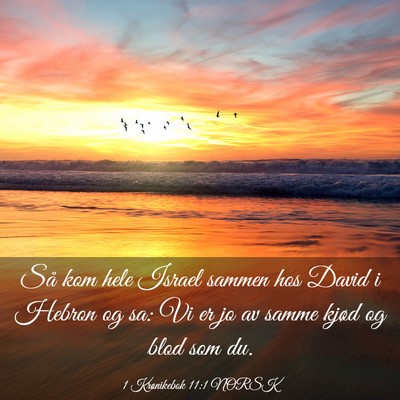 Picture 03 - 1 Krønikebok 11:1 NORSK - Så kom hele Israel sammen hos David i Hebron og - Bible Verse Picture