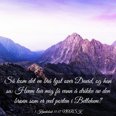 Picture 03 - 1 Krønikebok 11:17 NORSK - Så kom det en brå lyst over David, og han sa: - Bible Verse Picture
