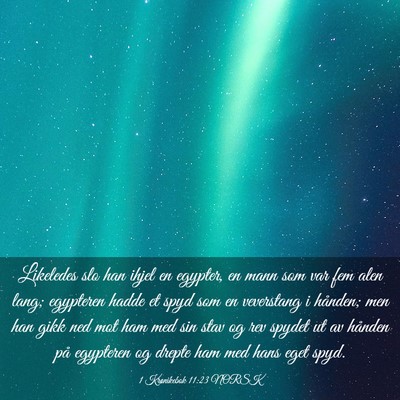 Picture 03 - 1 Krønikebok 11:23 NORSK - Likeledes slo han ihjel en egypter, en mann som - Bible Verse Picture
