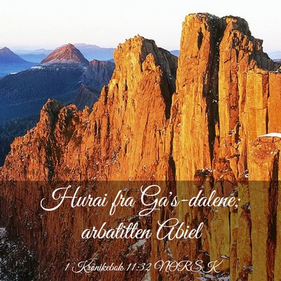 Picture 03 - 1 Krønikebok 11:32 NORSK - Hurai fra Ga's-dalene; arbatitten - Bible Verse Picture