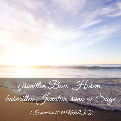 Picture 03 - 1 Krønikebok 11:34 NORSK - gisonitten Bene-Hasem; hararitten Jonatan, sønn - Bible Verse Picture