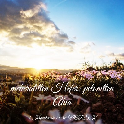 Picture 03 - 1 Krønikebok 11:36 NORSK - mekeratitten Hefer; pelonitten - Bible Verse Picture