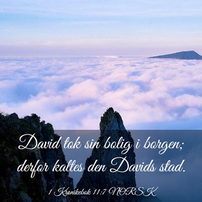 Picture 03 - 1 Krønikebok 11:7 NORSK - David tok sin bolig i borgen; derfor kaltes den - Bible Verse Picture