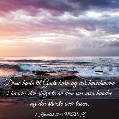 Picture 03 - 1 Krønikebok 12:14 NORSK - Disse hørte til Gads barn og var høvedsmenn i - Bible Verse Picture