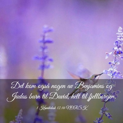 Picture 03 - 1 Krønikebok 12:16 NORSK - Det kom også nogen av Benjamins og Judas barn - Bible Verse Picture