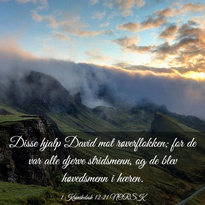 Picture 03 - 1 Krønikebok 12:21 NORSK - Disse hjalp David mot røverflokken; for de var - Bible Verse Picture