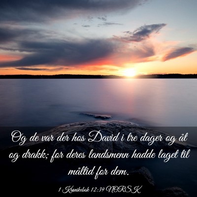 Picture 03 - 1 Krønikebok 12:39 NORSK - Og de var der hos David i tre dager og åt og - Bible Verse Picture
