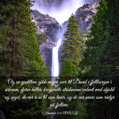 Picture 03 - 1 Krønikebok 12:8 NORSK - Og av gadittene gikk nogen over til David i - Bible Verse Picture