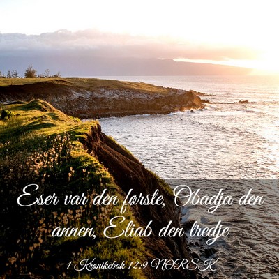 Picture 03 - 1 Krønikebok 12:9 NORSK - Eser var den første, Obadja den annen, Eliab den - Bible Verse Picture
