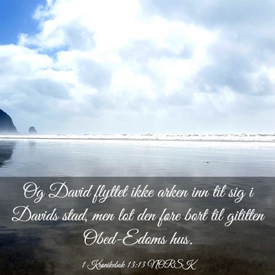 Picture 03 - 1 Krønikebok 13:13 NORSK - Og David flyttet ikke arken inn til sig i Davids - Bible Verse Picture