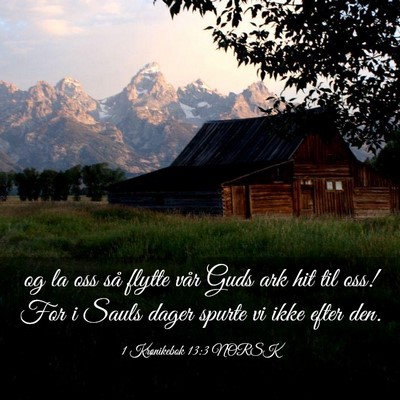 Picture 03 - 1 Krønikebok 13:3 NORSK - og la oss så flytte vår Guds ark hit til oss! - Bible Verse Picture