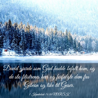 Picture 03 - 1 Krønikebok 14:16 NORSK - David gjorde som Gud hadde befalt ham, og de slo - Bible Verse Picture