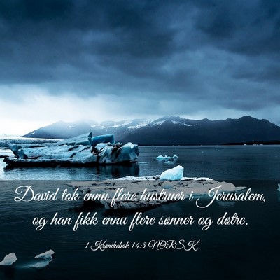 Picture 03 - 1 Krønikebok 14:3 NORSK - David tok ennu flere hustruer i Jerusalem, og han - Bible Verse Picture