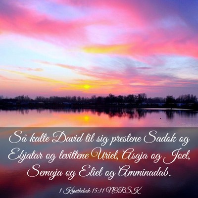 Picture 03 - 1 Krønikebok 15:11 NORSK - Så kalte David til sig prestene Sadok og Ebjatar - Bible Verse Picture