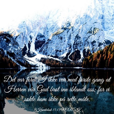 Picture 03 - 1 Krønikebok 15:13 NORSK - Det var fordi I ikke var med første gang at - Bible Verse Picture
