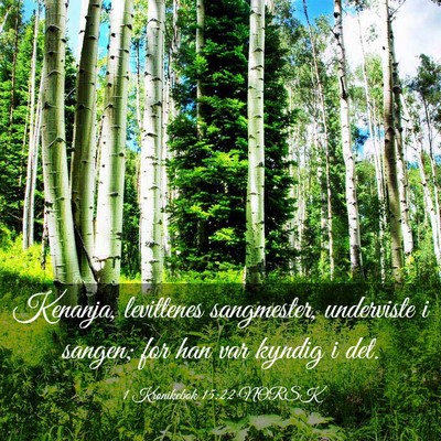 Picture 03 - 1 Krønikebok 15:22 NORSK - Kenanja, levittenes sangmester, underviste i - Bible Verse Picture