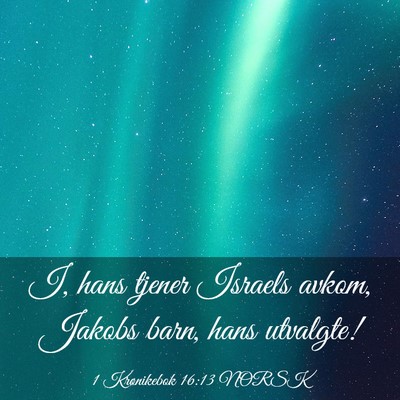 Picture 03 - 1 Krønikebok 16:13 NORSK - I, hans tjener Israels avkom, Jakobs barn, hans - Bible Verse Picture